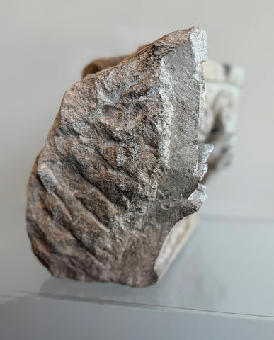 FRENCH CAENSTONE FRAGMENT